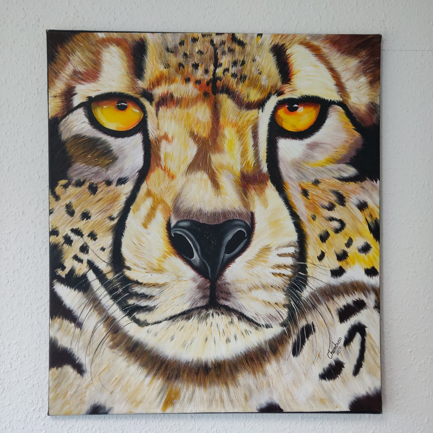 • B-Ware • 'Gepard' 80 x 70 cm