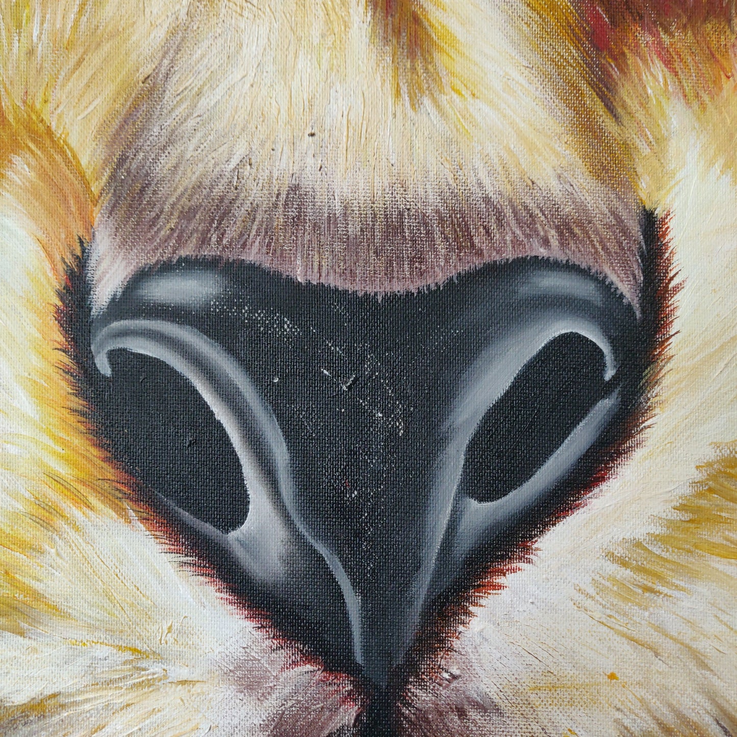 • B-Ware • 'Gepard' 80 x 70 cm