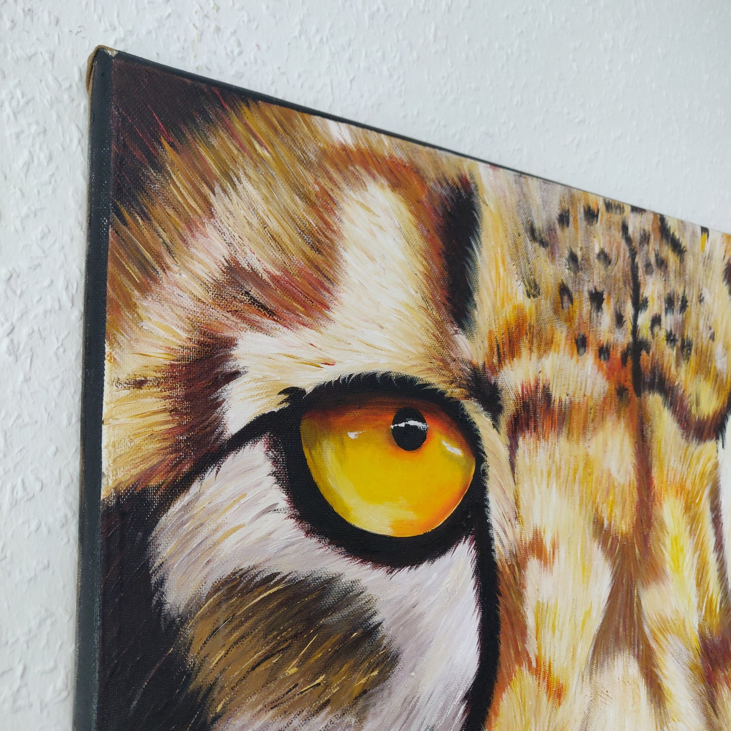 • B-Ware • 'Gepard' 80 x 70 cm